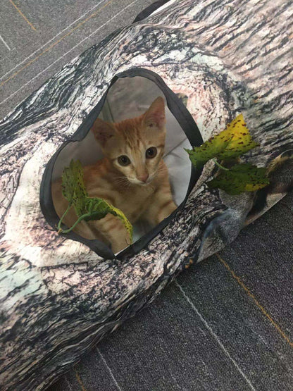 LabyCat